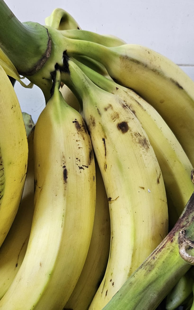 100g Pisang Tanduk (3pc) Set of 3 pack