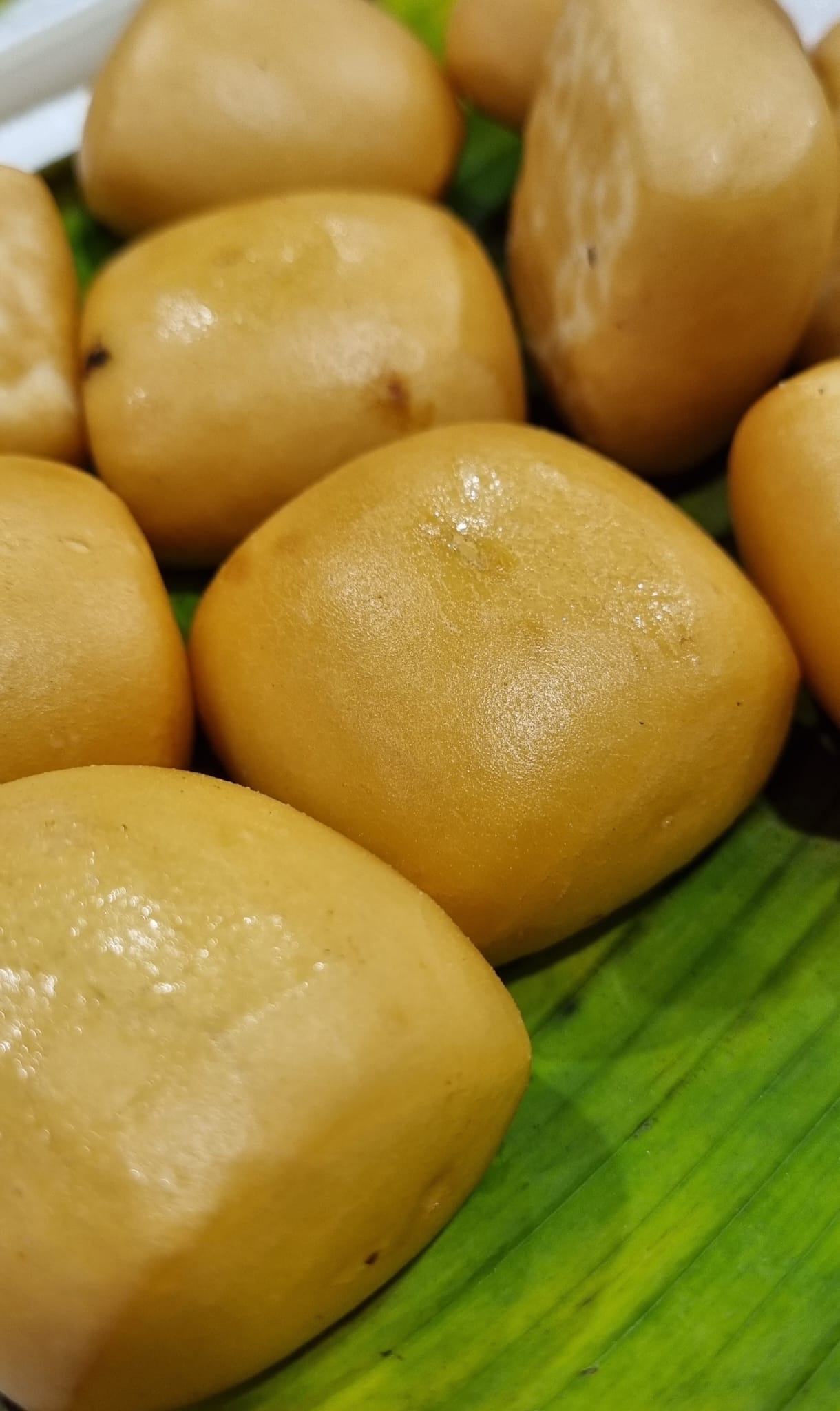 A1 CRAYFISH WITH MANTOU (10 PCS) (NEWTON #19)