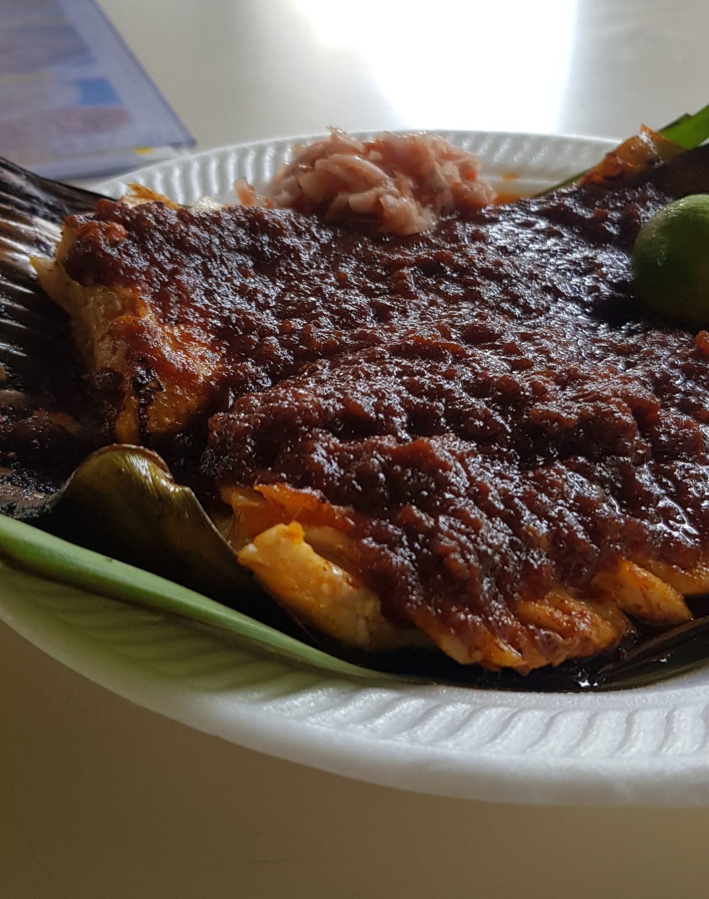 A1 BBQ STINGRAY (MEDIUM) (NEWTON #19)