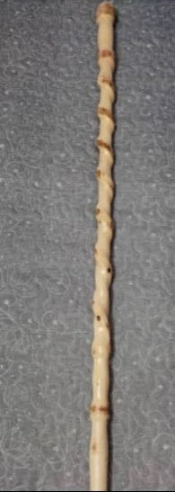 TONGKAT, Kayu Luz From Mesir