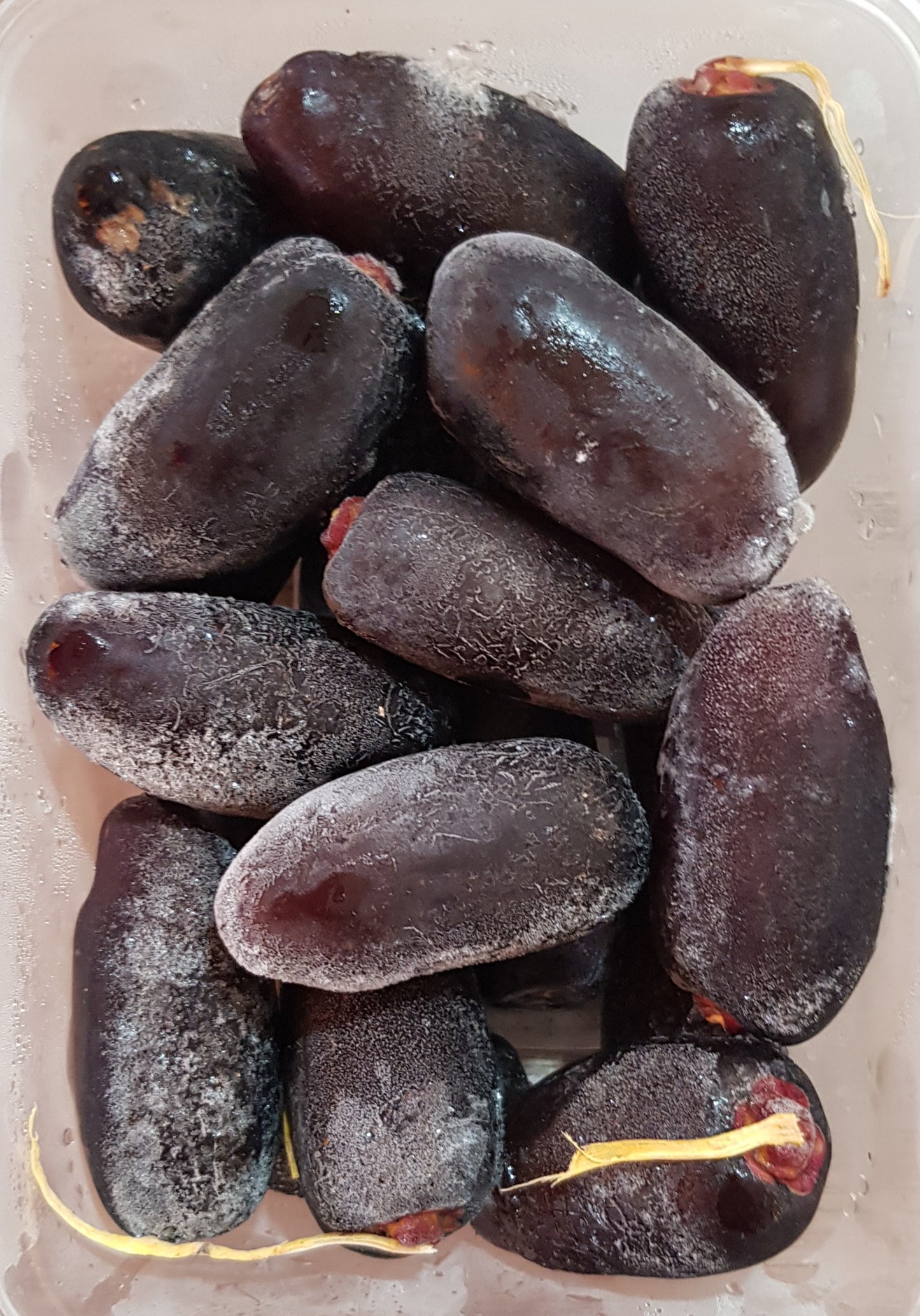 DATES (DAPUR AMINAH), Premium Kurma Sejok, 500g, Malaysia