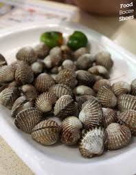 SEAFOOD, COCKLES (SMALL) (NEWTON #19)