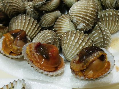 SEAFOOD, COCKLES (SMALL) (NEWTON #19)