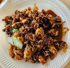 SQUID, BABY SQUID (SMALL) (NEWTON #19)