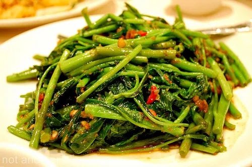 VEGETABLE, KANGKONG BELACAN (SMALL) (NEWTON #19)