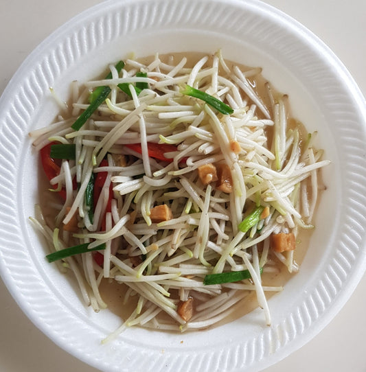 VEGETABLE, BEAN-SPROUT SALTED FISH (SMALL) (NEWTON #19)