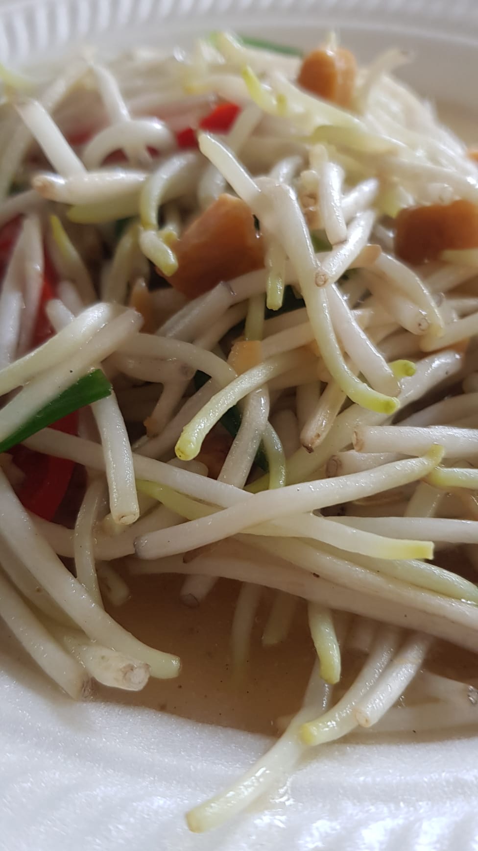 VEGETABLE, BEAN-SPROUT SALTED FISH (SMALL) (NEWTON #19)
