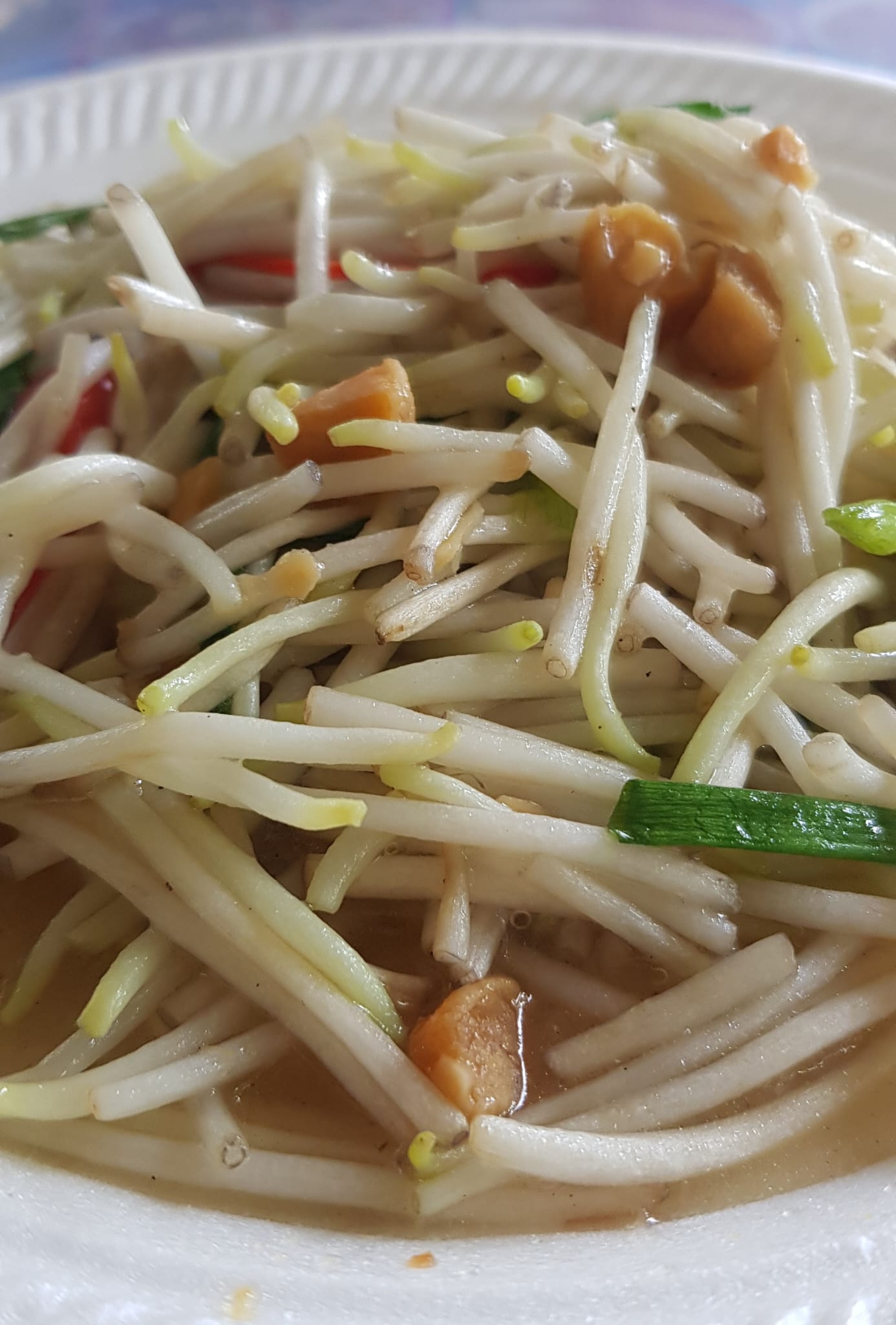 VEGETABLE, BEAN-SPROUT SALTED FISH (SMALL) (NEWTON #19)