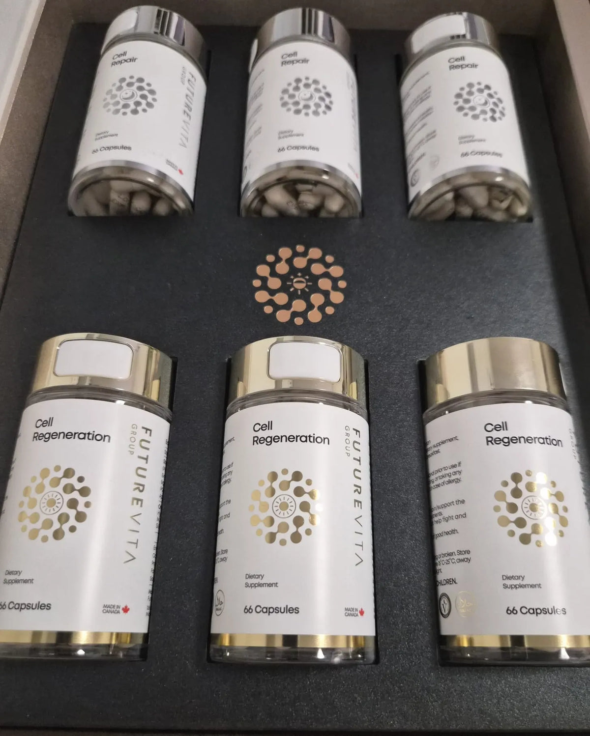 Future Vita Cell Regeneration Cell Repair